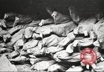 Image of Quartermaster Corps Columbus Ohio USA, 1925, second 24 stock footage video 65675064826