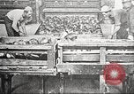 Image of Quartermaster Corps Columbus Ohio USA, 1925, second 33 stock footage video 65675064826