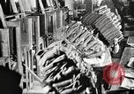 Image of Quartermaster Corps Columbus Ohio USA, 1925, second 42 stock footage video 65675064826