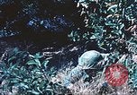 Image of United States Marines United States USA, 1961, second 37 stock footage video 65675064845