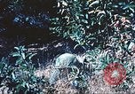 Image of United States Marines United States USA, 1961, second 38 stock footage video 65675064845
