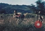 Image of Navy and Marine amphibious assault exercise United States USA, 1961, second 10 stock footage video 65675064853