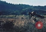 Image of Navy and Marine amphibious assault exercise United States USA, 1961, second 11 stock footage video 65675064853