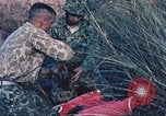 Image of Navy and Marine amphibious assault exercise United States USA, 1961, second 14 stock footage video 65675064853