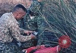 Image of Navy and Marine amphibious assault exercise United States USA, 1961, second 15 stock footage video 65675064853