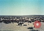 Image Le Navajo Nation Monument Valley Park United States USA, 1961, de la seconde 47 séquences d'archives historiques vidéo 65675064859