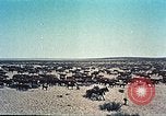 Image Le Navajo Nation Monument Valley Park United States USA, 1961, de la seconde 49 séquences d'archives historiques vidéo 65675064859