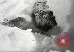 Immagine di Stati Uniti Marines Regione artica, 1955, secondo 13 filmato di repertorio 65675064865