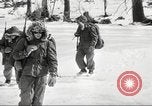 Immagine di Stati Uniti Marines Regione artica, 1955, secondo 50 filmato di repertorio 65675064865