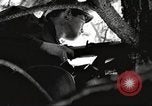Immagine di Stati Uniti Marines Regione artica, 1955, secondo 39 filmato di repertorio 65675064866