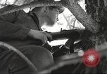 Immagine di Stati Uniti Marines Regione artica, 1955, secondo 41 filmato di repertorio 65675064866