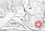 Immagine di Stati Uniti Marines Regione artica, 1955, secondo 44 filmato di repertorio 65675064866