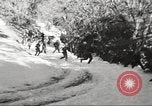 Immagine di Stati Uniti Marines Regione artica, 1955, secondo 58 filmato di repertorio 65675064866