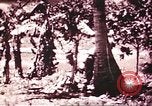 Image of American forces Saipan Northern Mariana Islands, 1944, second 56 stock footage video 65675064878