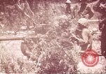 Image of American forces Saipan Northern Mariana Islands, 1944, second 31 stock footage video 65675064880