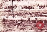 Image of American forces Saipan Northern Mariana Islands, 1944, second 44 stock footage video 65675064880