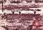 Image of American forces Saipan Northern Mariana Islands, 1944, second 47 stock footage video 65675064880