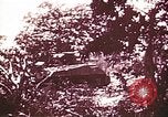 Image of American forces Saipan Northern Mariana Islands, 1944, second 30 stock footage video 65675064882