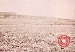 Image of American forces Saipan Northern Mariana Islands, 1944, second 61 stock footage video 65675064882