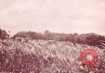 Image of American forces Saipan Northern Mariana Islands, 1944, second 14 stock footage video 65675064883