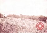 Image of American forces Saipan Northern Mariana Islands, 1944, second 16 stock footage video 65675064883