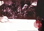 Image of American forces Saipan Northern Mariana Islands, 1944, second 39 stock footage video 65675064883
