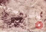 Image of American forces Saipan Northern Mariana Islands, 1944, second 28 stock footage video 65675064884