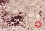 Image of American forces Saipan Northern Mariana Islands, 1944, second 29 stock footage video 65675064884