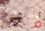 Image of American forces Saipan Northern Mariana Islands, 1944, second 30 stock footage video 65675064884