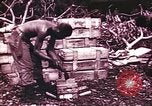Image of American forces Saipan Northern Mariana Islands, 1944, second 49 stock footage video 65675064884