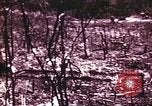 Image of American forces Saipan Northern Mariana Islands, 1944, second 33 stock footage video 65675064885