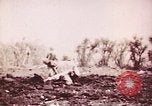 Image of U.S. Marines in combat on Saipan Saipan Northern Mariana Islands, 1944, second 33 stock footage video 65675064888