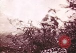 Image of U.S. Marines in combat on Saipan Saipan Northern Mariana Islands, 1944, second 45 stock footage video 65675064888