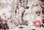 Image of American forces Saipan Northern Mariana Islands, 1944, second 48 stock footage video 65675064890