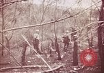 Image of American forces Saipan Northern Mariana Islands, 1944, second 14 stock footage video 65675064891