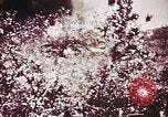 Image of American forces Saipan Northern Mariana Islands, 1944, second 45 stock footage video 65675064893