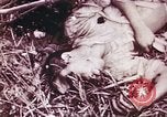 Image of American forces Saipan Northern Mariana Islands, 1944, second 45 stock footage video 65675064896