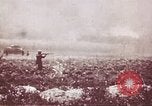 Image of American forces Saipan Northern Mariana Islands, 1944, second 57 stock footage video 65675064896