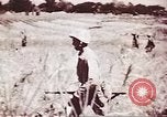 Image of American forces Saipan Northern Mariana Islands, 1944, second 45 stock footage video 65675064897