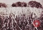 Image of American forces Saipan Northern Mariana Islands, 1944, second 46 stock footage video 65675064897