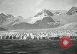Image of El Aquario support ship Alaska USA, 1934, second 14 stock footage video 65675064904