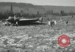 Immagine di Army Air Corps Alaskan volo Canada, 1934, secondo 8 filmato di repertorio 65675064909