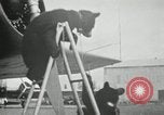Image of Alaskan Flight Alaska USA, 1934, second 51 stock footage video 65675064912