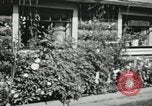 Image of Typical Alaskan houses in Fairbanks, Alaska Alaska USA, 1934, second 18 stock footage video 65675064915