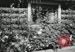 Image of Typical Alaskan houses in Fairbanks, Alaska Alaska USA, 1934, second 20 stock footage video 65675064915