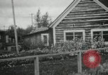 Image of Typical Alaskan houses in Fairbanks, Alaska Alaska USA, 1934, second 36 stock footage video 65675064915