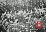 Image of Typical Alaskan houses in Fairbanks, Alaska Alaska USA, 1934, second 51 stock footage video 65675064915