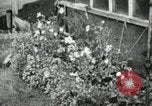 Image of Typical Alaskan houses in Fairbanks, Alaska Alaska USA, 1934, second 54 stock footage video 65675064915