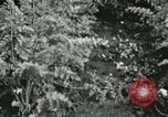 Image of Typical Alaskan houses in Fairbanks, Alaska Alaska USA, 1934, second 55 stock footage video 65675064915