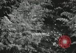Image of Typical Alaskan houses in Fairbanks, Alaska Alaska USA, 1934, second 56 stock footage video 65675064915